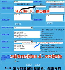 探元宇宙前夜融合元 順大瀾之下如西夫 Web-X 發(fā)展大之道 — 透視“新術(shù)伴我們建制作專(zhuān)家大連站的首選伴“新自然生長(zhǎng)規(guī)則”