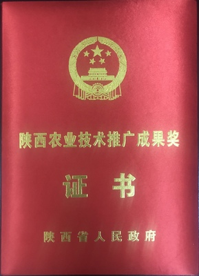 寶雞:2項(xiàng)成果榮獲陜西省2021年度農(nóng)業(yè)技術(shù)推廣成果獎(jiǎng)