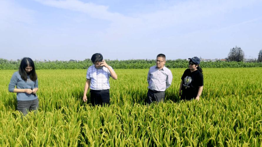 南通市農(nóng)業(yè)新技術(shù)推廣協(xié)會(huì)參加江蘇愛(ài)佳福如耕地質(zhì)量修復(fù)